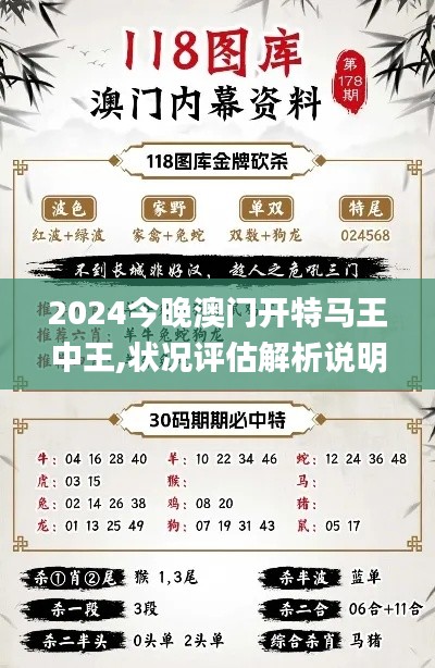 2024今晚澳门开特马王中王,状况评估解析说明_限量款6.215