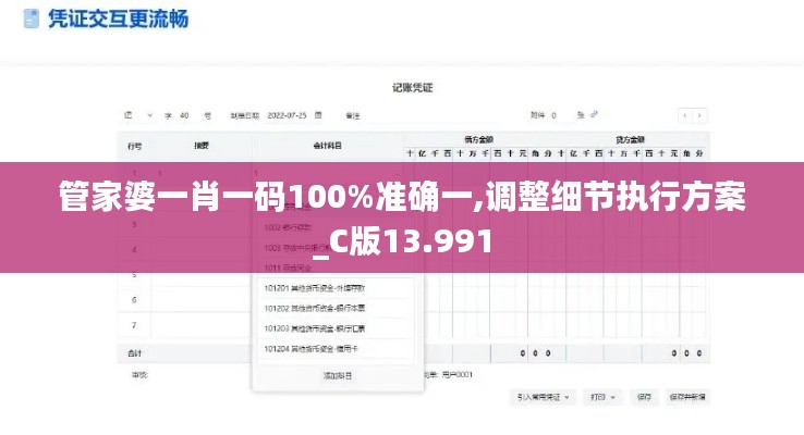 管家婆一肖一码100%准确一,调整细节执行方案_C版13.991