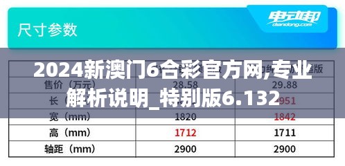 2024新澳门6合彩官方网,专业解析说明_特别版6.132