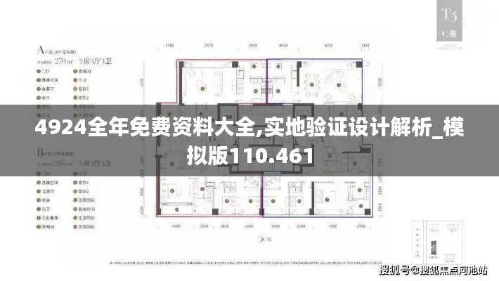 4924全年免费资料大全,实地验证设计解析_模拟版110.461