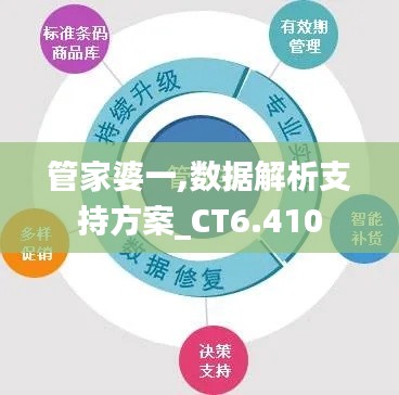 管家婆一,数据解析支持方案_CT6.410