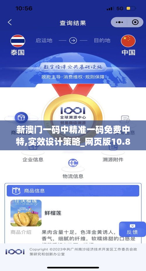 新澳门一码中精准一码免费中特,实效设计策略_网页版10.849