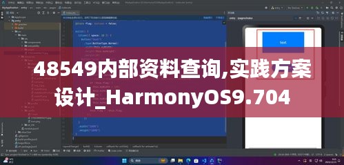 48549内部资料查询,实践方案设计_HarmonyOS9.704