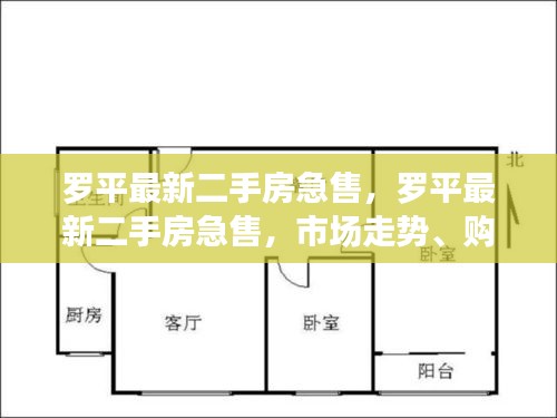 罗平最新二手房急售，市场走势、购房指南与实用攻略全解析