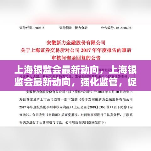 上海银监会强化监管，促进金融稳定发展新动向观察