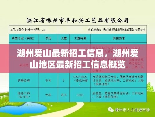 湖州爱山最新招工信息概览，地区招工动态一网打尽