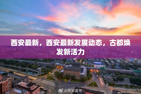 古都西安焕发新活力，最新发展动态揭秘