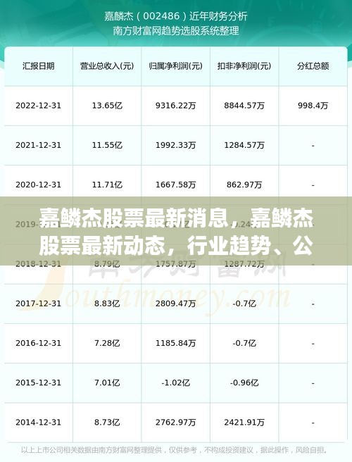 嘉鳞杰股票最新动态与行业趋势、公司表现及市场反应综述