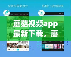 蘑菇视频APP，最新下载体验与独特魅力揭秘