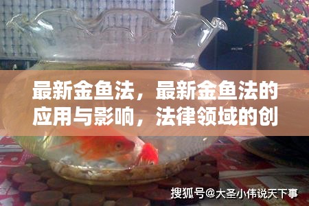 最新金鱼法，法律领域的创新实践及其应用与影响