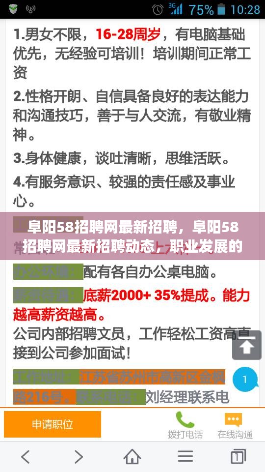 阜阳最新招聘动态及职业发展机会，阜阳58招聘网热门职位与求职策略