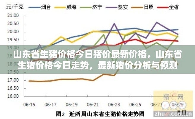 山东省最新生猪价格走势分析与预测，今日猪价及未来趋势展望