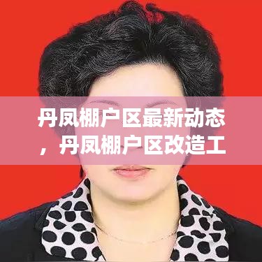 丹凤棚户区改造工程新进展解析，最新动态报告